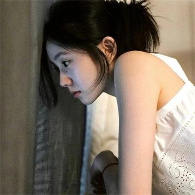 狐狸之声国语