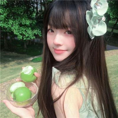 秘境古兽